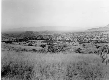 Photo Archive No. 229.1.1950.11