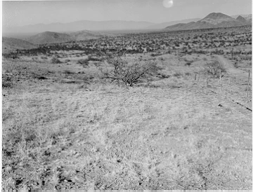 Photo Archive No. 229.1.1956.11