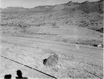 Photo Archive No. 229.2.1956.11