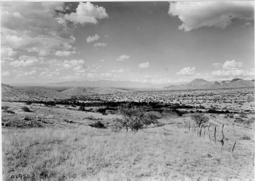 Photo Archive No. 229.1.1941.09