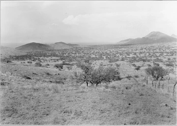 Photo Archive No. 229.1.1952.09