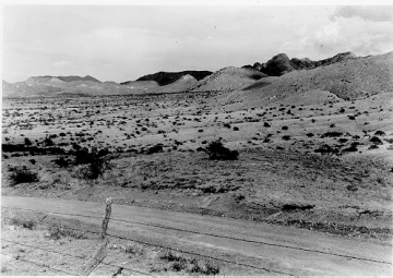 Photo Archive No. 229.2.1952.09