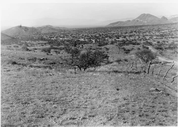 Photo Archive No. 229.1.1953.09