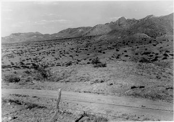 Photo Archive No. 229.2.1953.09
