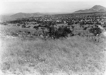Photo Archive No. 229.1.1954.09