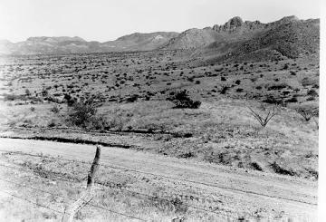 Photo Archive No. 229.2.1954.09