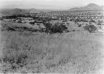 Photo Archive No. 229.1.1955.09