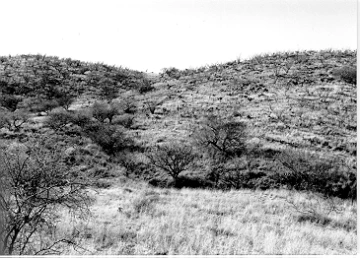 Photo Archive No. 230.3.1987.01
