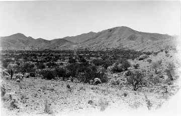 Photo Archive No. 230.2.1948.06