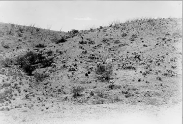 Photo Archive No. 230.3.1948.06