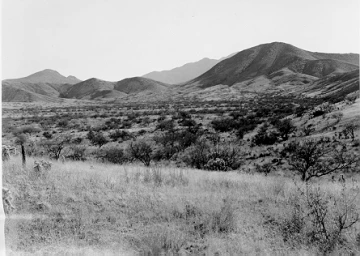 Photo Archive No. 230.2.1950.11