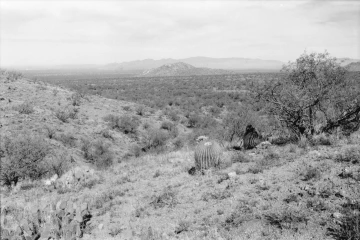 Photo Archive No. 230.1.2000.11