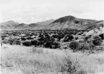 Photo Archive No. 230.2.1951.10
