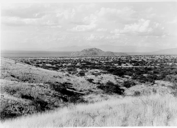 Photo Archive No. 230.1.1951.10