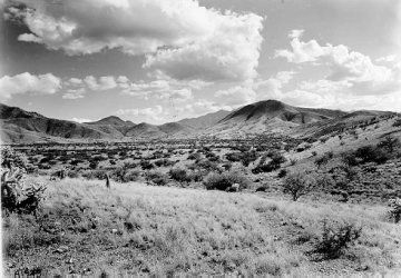Photo Archive No. 230.2.1941.09