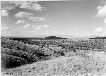 Photo Archive No. 230.1.1941.09