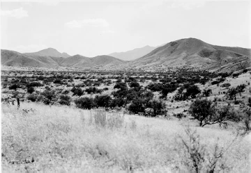 Photo Archive No. 230.2.1951.09