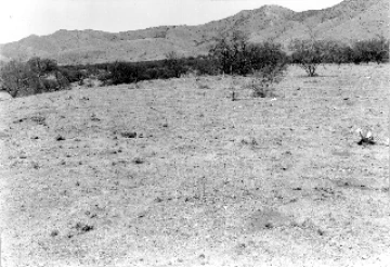 Photo Archive No. 247.1.1948.07 Photo Archive No. 247.1.1948.07