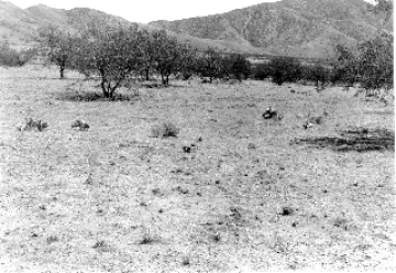 Photo Archive No. 247.2.1948.07