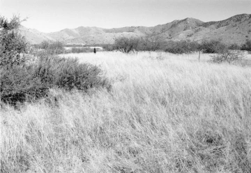 Photo Archive No. 247.1.1999.07