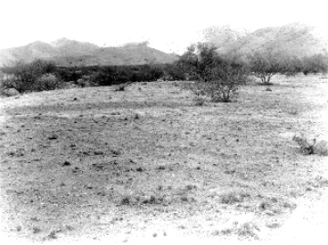 Photo Archive No. 247.1.1953.06