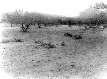 Photo Archive No. 247.2.1953.06