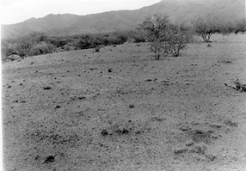 Photo Archive No. 247.1.1954.06