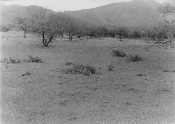 Photo Archive No. 247.2.1954.06