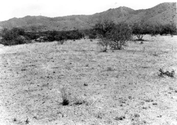 Photo Archive No. 247.1.1955.06