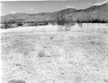 Photo Archive No. 247.1.1956.06