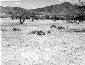 Photo Archive No. 247.2.1956.06