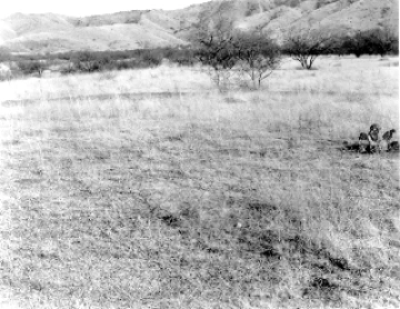 Photo Archive No. 247.1.1950.11