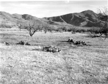 Photo Archive No. 247.2.1956.10