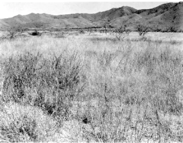 Photo Archive No. 247.1.1961.10