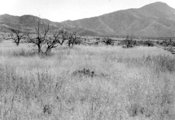 Photo Archive No. 247.2.1961.10