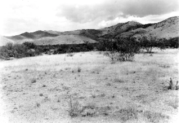 Photo Archive No. 247.1.1952.09