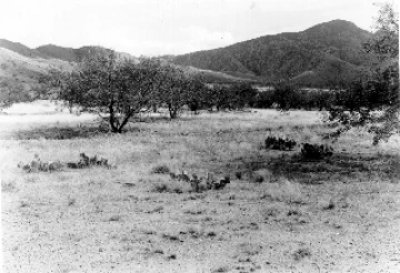 Photo Archive No. 247.2.1952.09