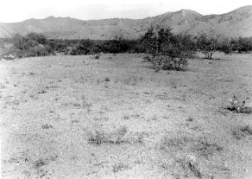 Photo Archive No. 247.1.1953.09