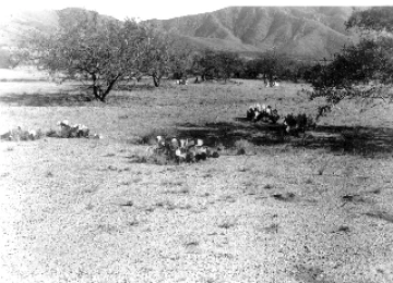 Photo Archive No. 247.2.1953.09