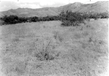 Photo Archive No. 247.1.1955.09