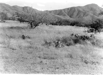 Photo Archive No. 247.2.1955.09