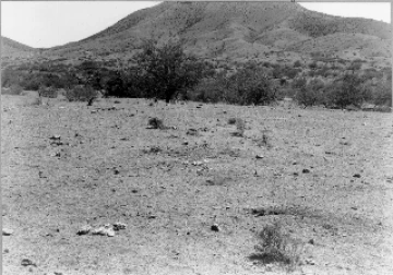 Photo Archive No. 249.1.1948.07