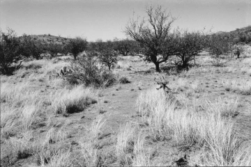 Photo Archive No. 250.1.2000.04