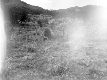 Photo Archive No. 250.2.1960.08