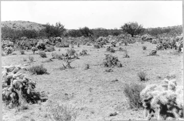 Photo Archive No. 250.1.1948.07