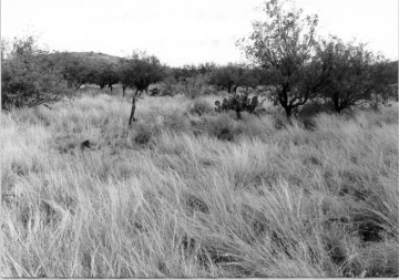 Photo Archive No. 250.1.1987.07