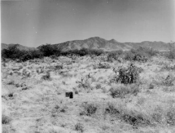 Photo Archive No. 256.1.1960.04