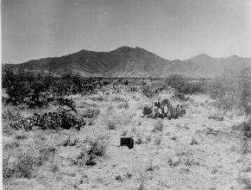 Photo Archive No. 256.2.1960.04