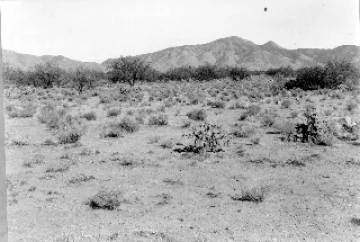 Photo Archive No. 256.1.1948.07 Photo Archive No. 256.1.1948.07