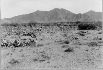Photo Archive No. 256.2.1948.07